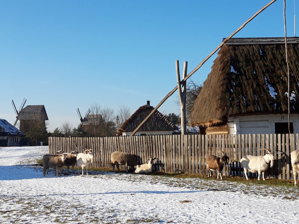 Park Etnograficzny w Tokarni