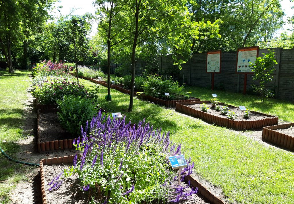 Skansen i Muzeum Pszczelarstwa w Swarzędzu