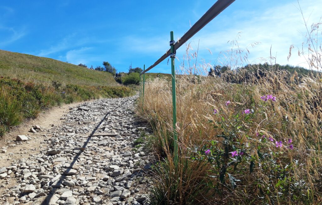 Obrazek posiada pusty atrybut alt; plik o nazwie Szlak-polonina-1024x654.jpg