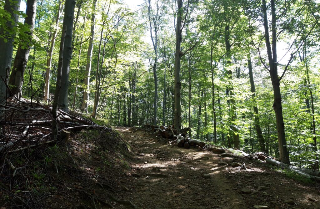 Obrazek posiada pusty atrybut alt; plik o nazwie Wejscie-pod-gore-1024x668.jpg