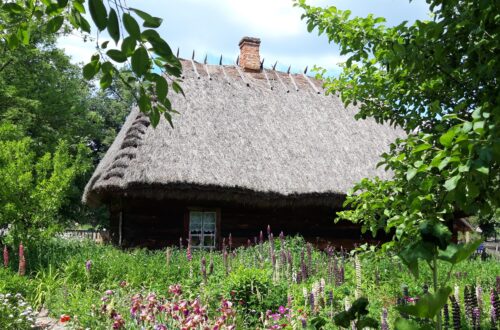 Muzeum Rolnictwa w Ciechanowcu