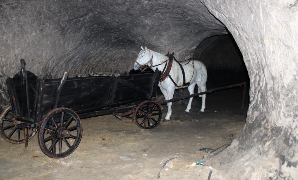 Zaaranżowana scena przedstawiająca proces wywożenia piasku z dawnej kopalni w Tomaszowie Mazowieckim – sztuczny koń i wóz umieszczone w jednej z grot. Edukacyjna część trasy turystycznej.